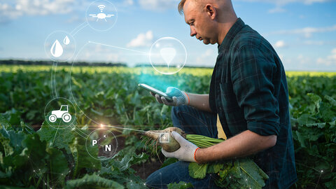 Farmer uses tablet to analyze crop data in a field, illustrating precision agriculture and smart farming technology.