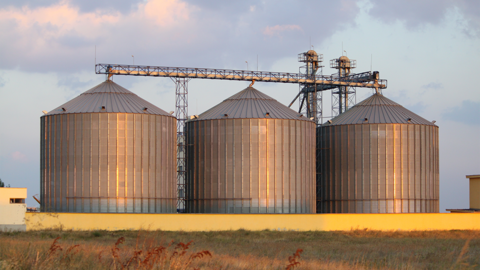Grain bins