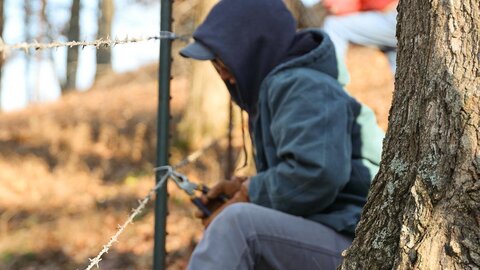 Person repairing barbed wire fence with pliers near a tree in a pasture setting.