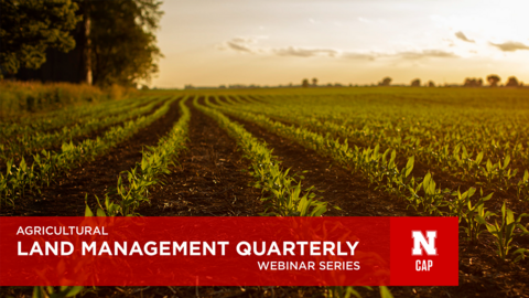 Rows of young corn plants stretch toward the horizon under a warm evening sky, promoting the Agricultural Land Management Quarterly webinar series.
