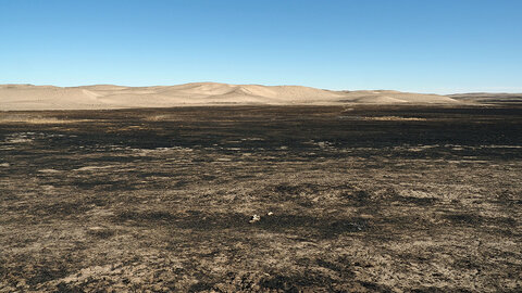 Burned pastureland with blackened soil and sparse vegetation stretches across sandy hills under a clear sky.