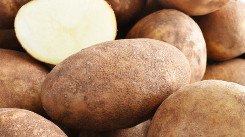 Russet potatoes in a pile