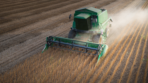 Green combine kicks up dust as it harvests soybean field