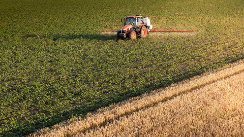Tractor with boom sprayer applying pesticide across a green crop field beside a mature wheat field.