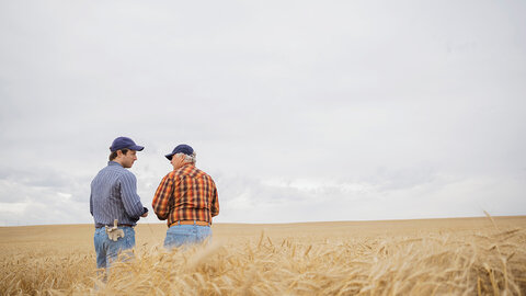 Two farmers stand in a golden wheat field, talking together under a cloudy sky.