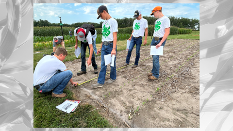 children measuring plot of soil