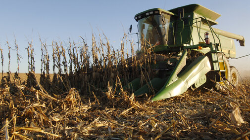 Harvest