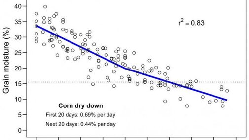 Chart of ISU research on rate of corn dry down