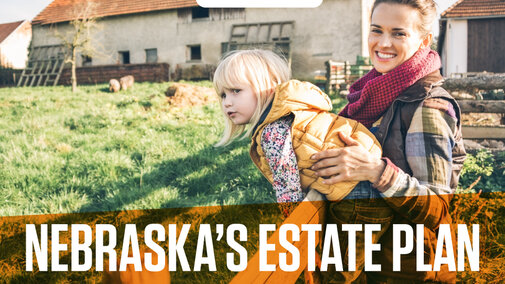 Estate planning grahic