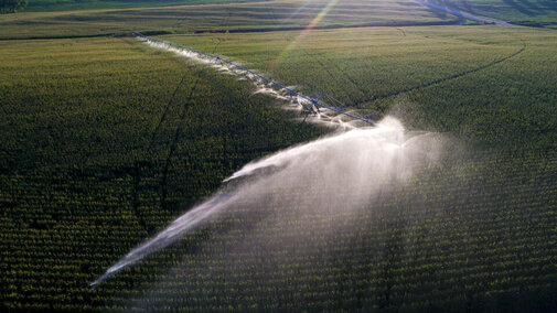 aerial view of center pivot irrigation in a field of corn