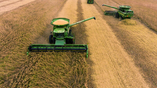 combines harvesting soybeans
