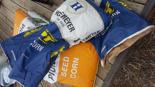 Bags of corn seed