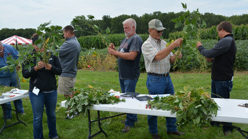 Participants at the 2016 Soybean Clinic examining plant injury at various crop growth stages.