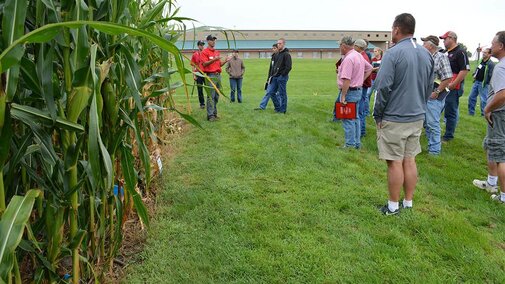 Attendees view maturing corn plants at a previous clinic.