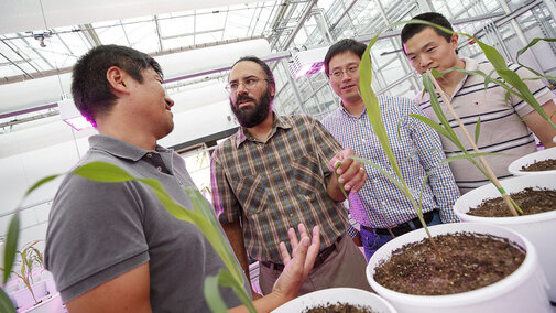 Harkamal Walia discusses an experimental plan for the grant at the High Throughput Phenotyping facility 