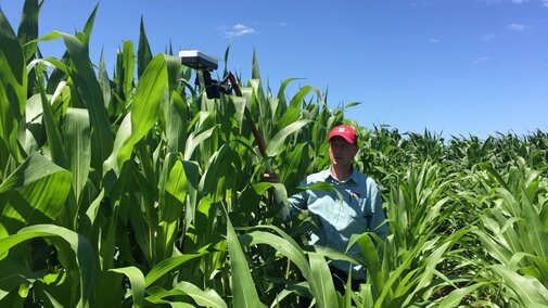 farmer in corn field