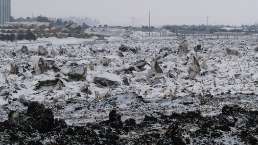 snow covered manure