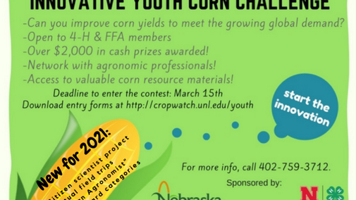 Nebraska Youth Corn Challenge info flyer