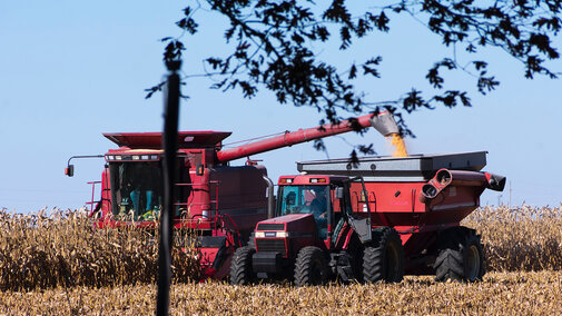 Harvesting crops in field