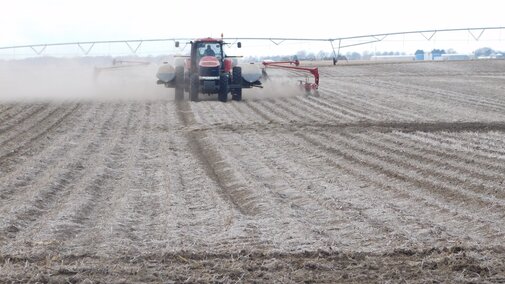 Spring planting in field