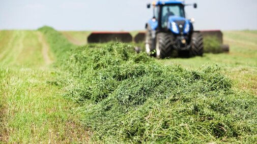 Cutting hay in field