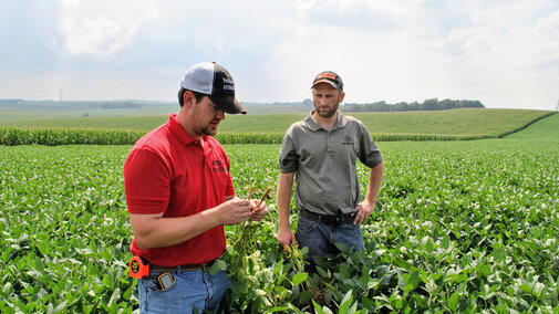 Extension educators analyze soybean field