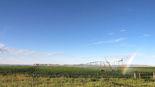 Center pivot irrigation