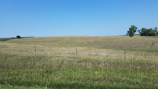 Pasture landscape