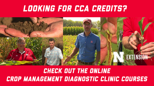 Looking for CAA Credits? Check out the online crop management diagnostic clinic courses