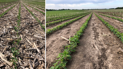 Field of residue cover