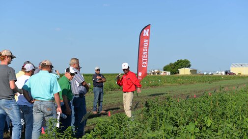 Palmer amaranth field day demo