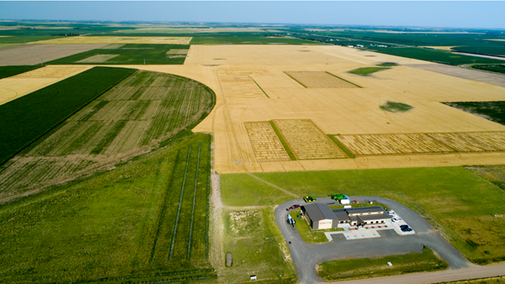 Henry J. Stumpf International Wheat Center