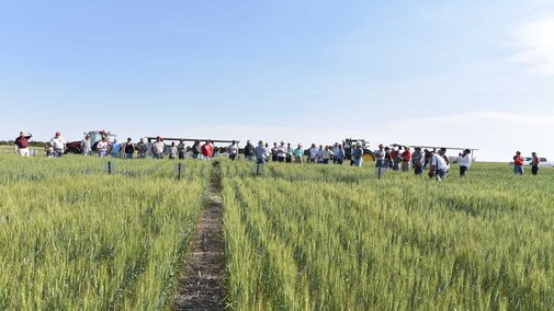 Wheat field day attendees