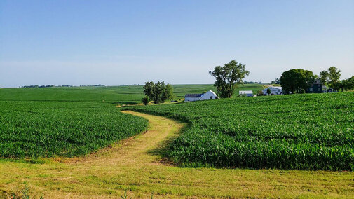 Farmland