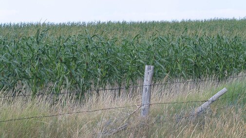 Farmland