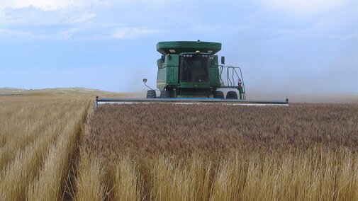 Combine in field