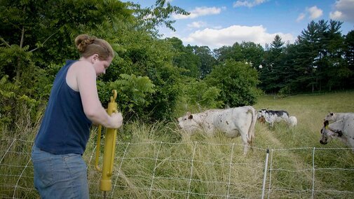 Farmer with livestock