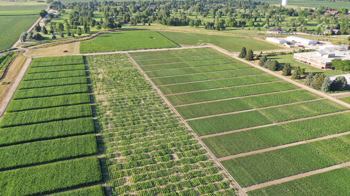 Aerial view of research plots