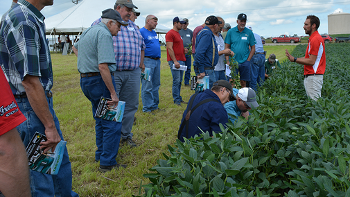 Soybean Management Field Day field demo