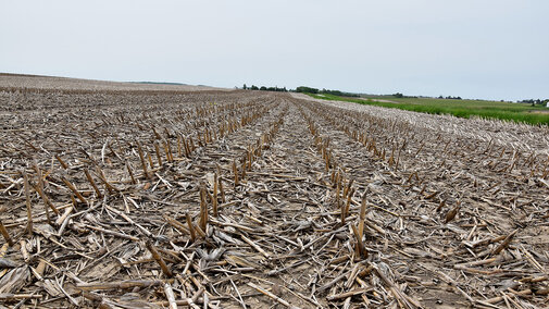 Harvested field