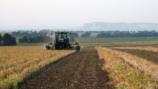 Harvesting dry edible beans