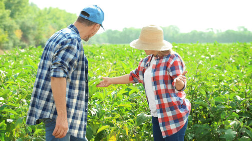 Farmers in field