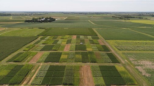 Aerial view of field