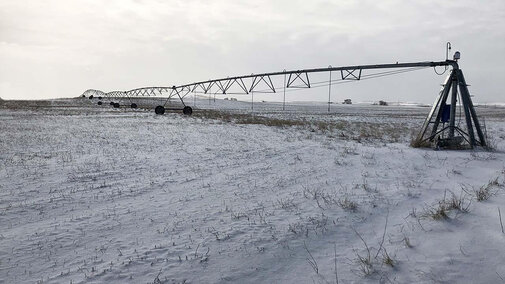 Field in winter