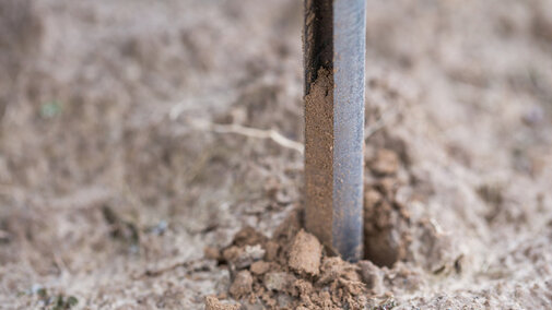 Soil sample probe