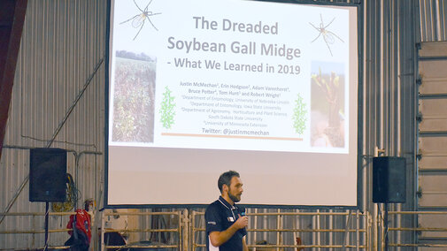 Soybean Gall Midge presentation