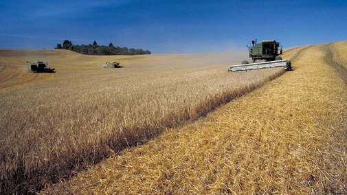 Combine in field