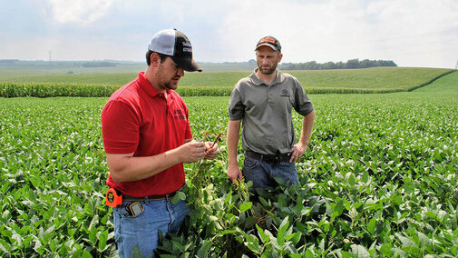 Extension educator analyzes crop