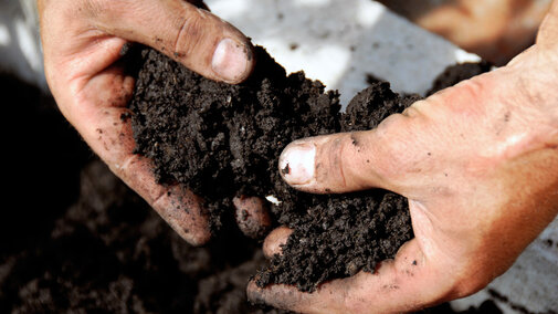 Soil in hands