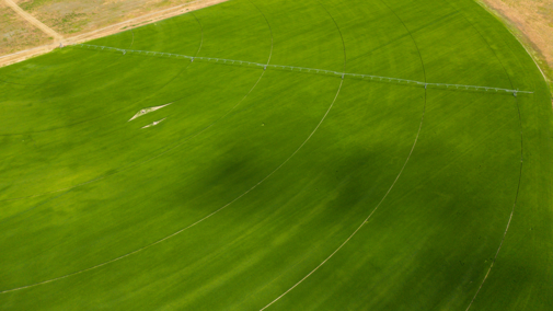 Farm field aerial view